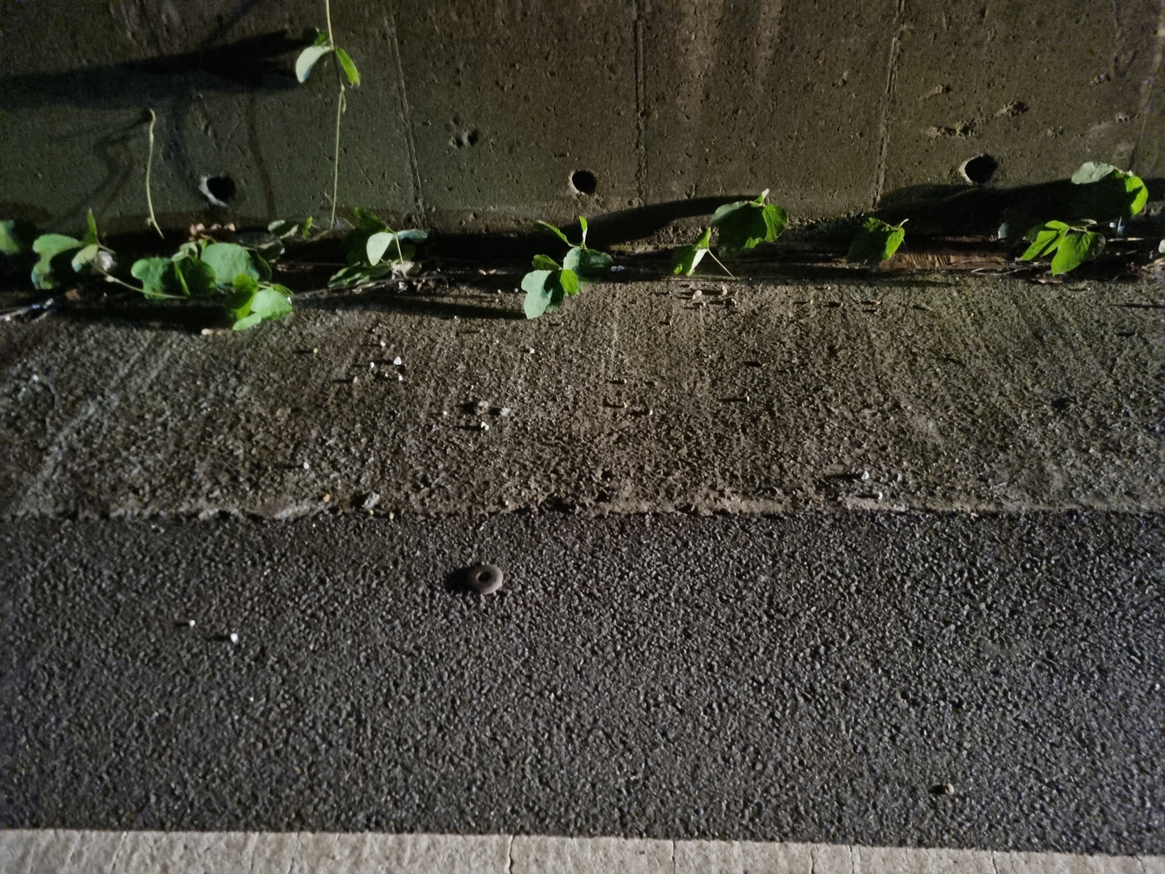 20220724_235914.jpg