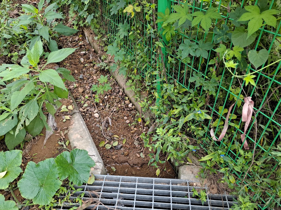 KakaoTalk_20200924_192649954_25.jpg