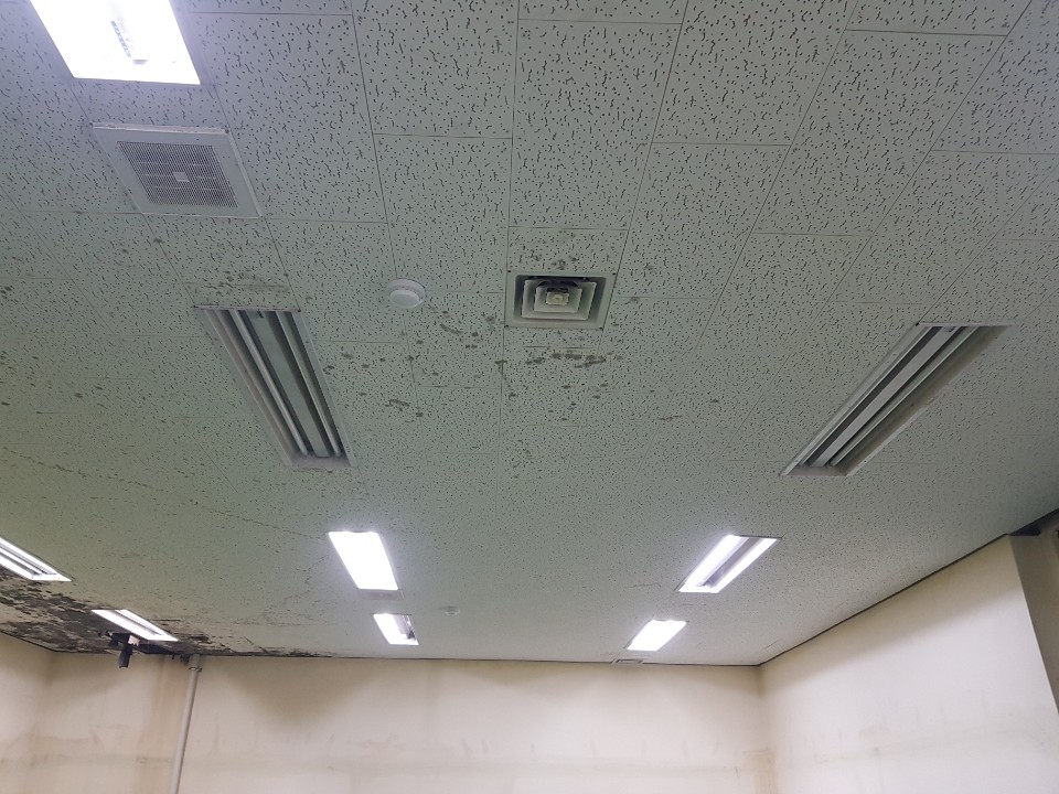 KakaoTalk_20200629_202303554.jpg