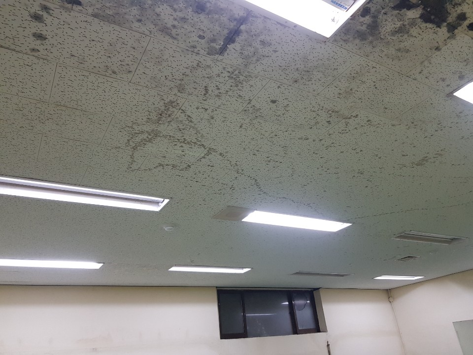 KakaoTalk_20200629_202303178.jpg