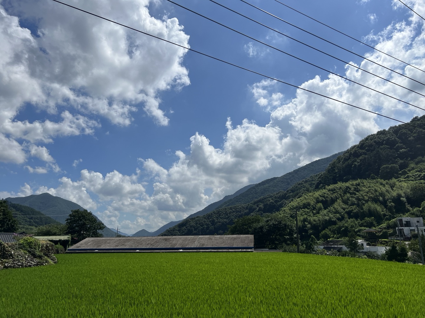 KakaoTalk_20240926_191350445_03.jpg