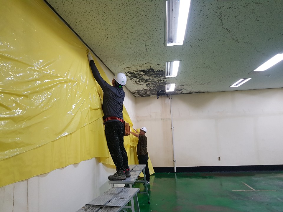 KakaoTalk_20200629_202302765.jpg